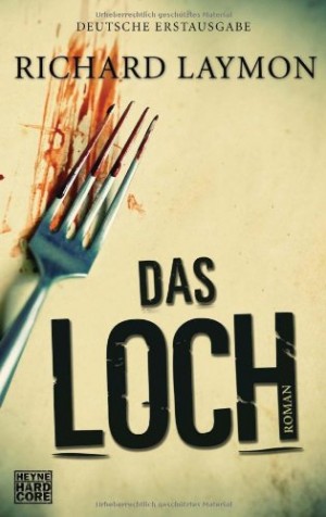 Cover: Das Loch