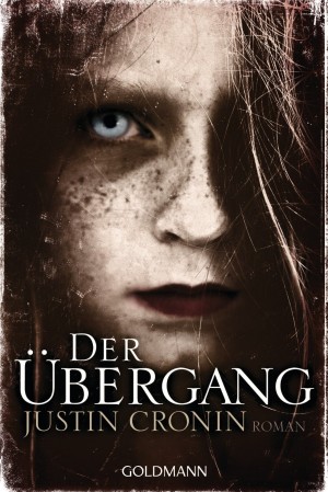 Cover: Der Übergang